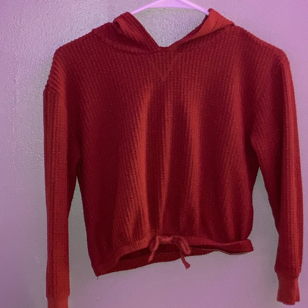 cropped hoodie. velvet red. from American Eagle. Is a M in kids!